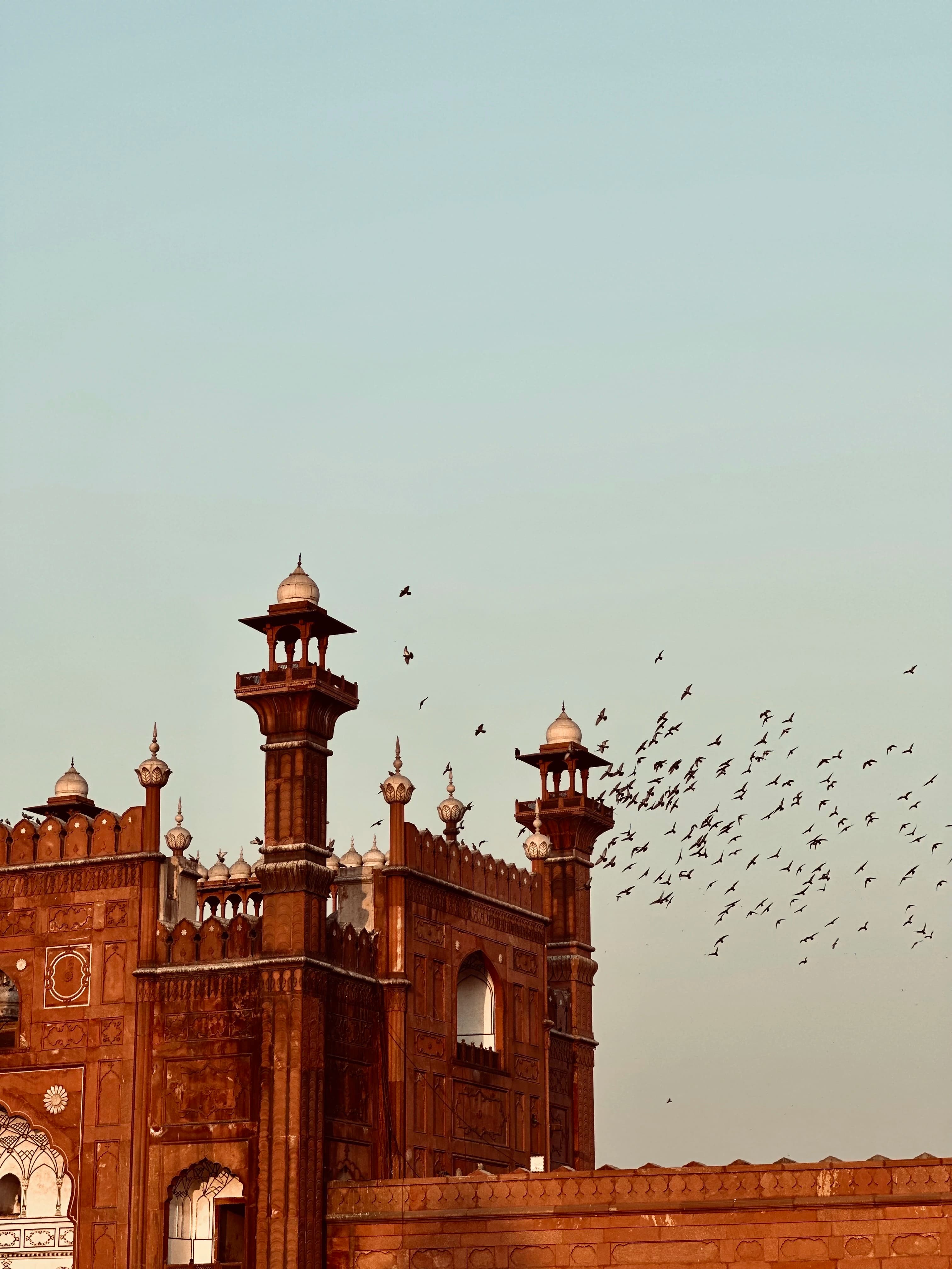 Photograph by Musa Qureshi